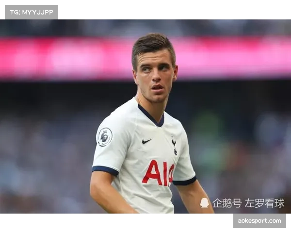 深度报道:托特纳姆热刺球场扩建计划公示,旨在增加座位容量